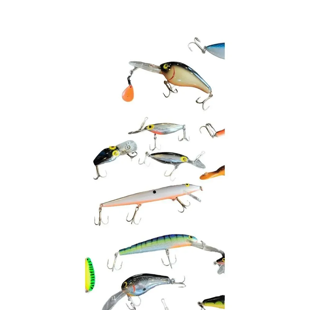Fishing Lures Lot -‎ Bagley's / Rapala